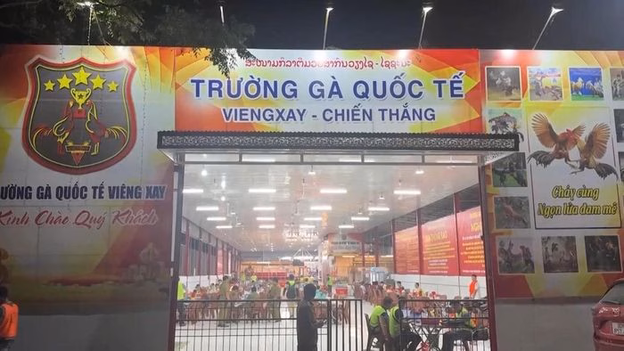 Công tác bóc gỡ đường dây đánh bạc xuyên quốc gia với số tiền giao dịch khổng lồ. Ảnh: Bộ Công an.