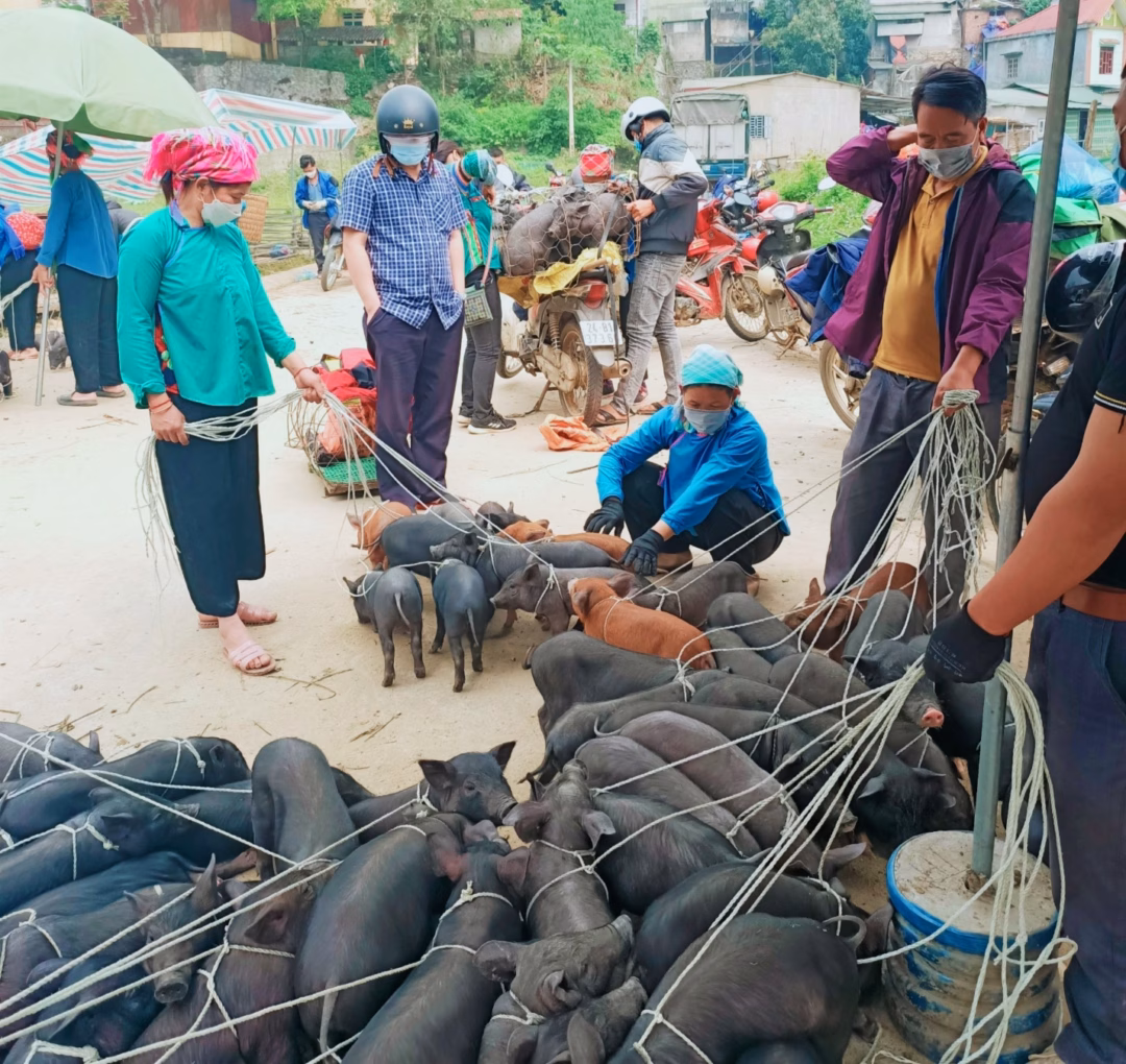 Những sản vật quý giá từ rừng già được bày bán mộc mạc nhưng đầy giá trị.