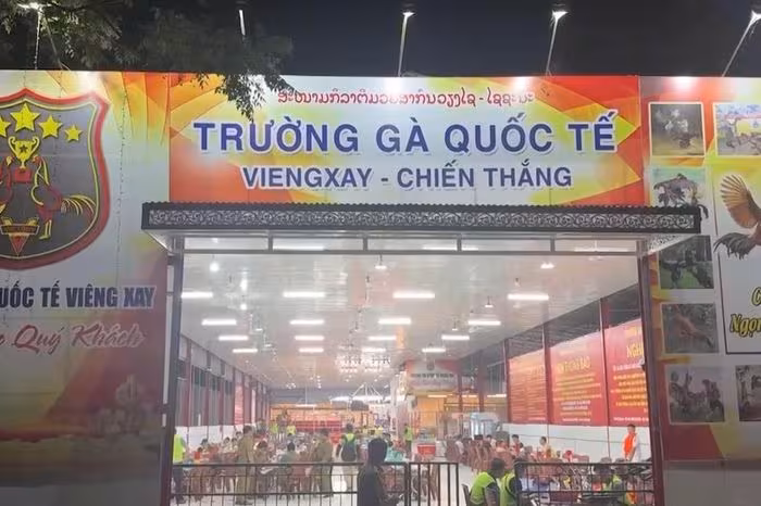 Triệt phá "trường gà" Viêng Xay: Đường dây nghìn tỷ, 196 bị can bị khởi tố
