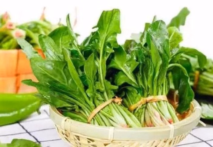 Cải bó xôi lá nhọn có hàm lượng axit oxalic cao hơn, tạo vị chát đặc trưng.