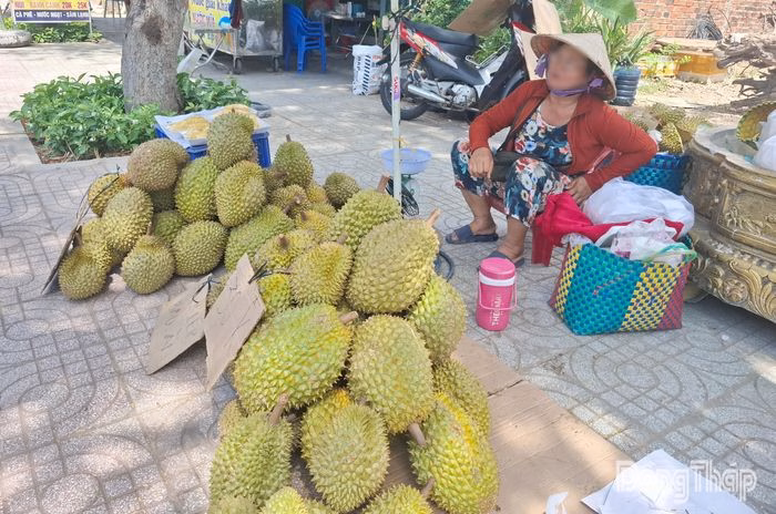 Các điểm bán sầu riêng giá rẻ tập trung đông đảo trên tuyến đường Lê Thị Hồng Gấm (phường Thới Sơn).