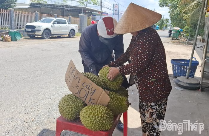 Sầu riêng Ri 6 loại dạt với mức giá từ 25.000 - 30.000 đồng/kg thường có chất lượng không đồng đều.