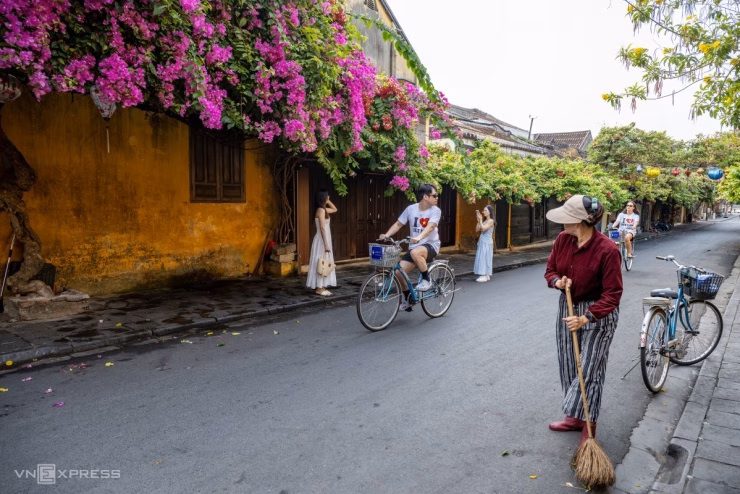 Hoa giấy nở rộ trên nền tường vàng là bối cảnh kinh điển mà bất cứ ai đến Hội An cũng muốn ghi lại.
